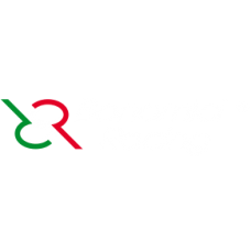 Bonamici Racing Engine Protection Right Side for the Ducati Panigale V2 Racing 'All Years